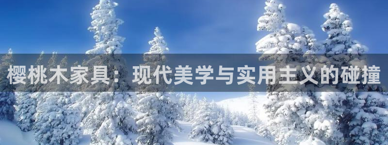 星欧娱乐公司老板背景