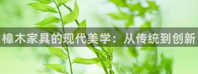 星欧娱乐用户登录中心