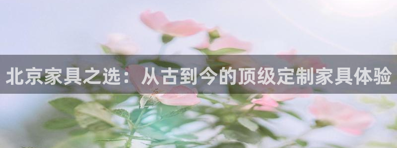 星欧娱乐公司