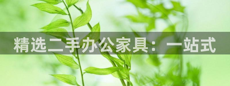星欧娱乐平台怎么样