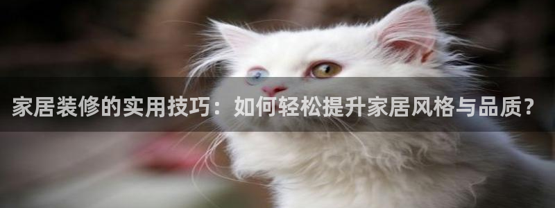 欧星娱乐彩票去