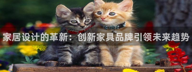 星欧娱乐官方网页：家居设计的革新：创新家具品牌引领未来趋势