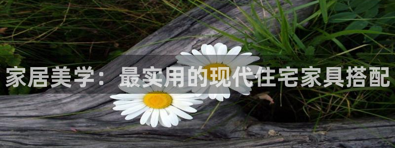 欧星娱乐棋牌怎么样