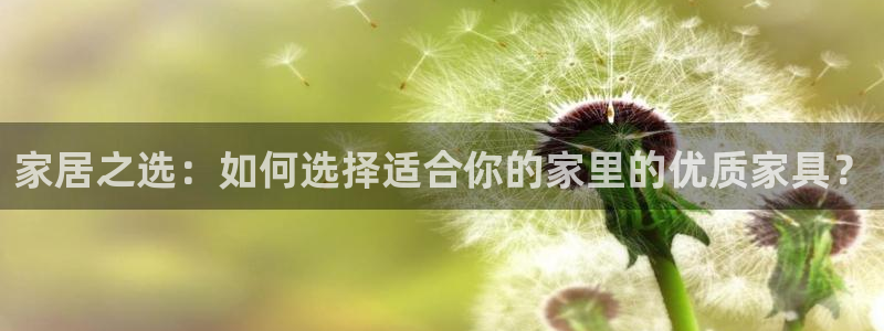 星欧娱乐改名后叫什么