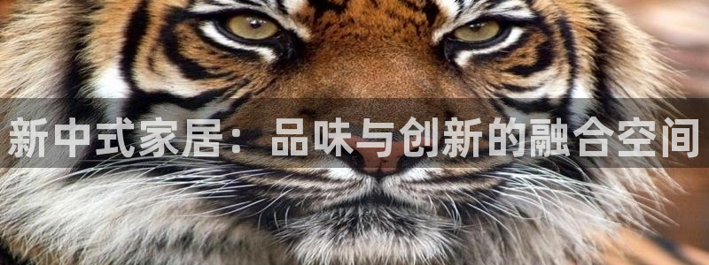 乌鲁木齐欧乐星城娱乐