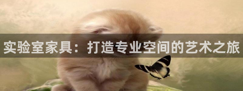 星欧娱乐最新动态消息：实验室家具：打造专业空间的艺术之旅