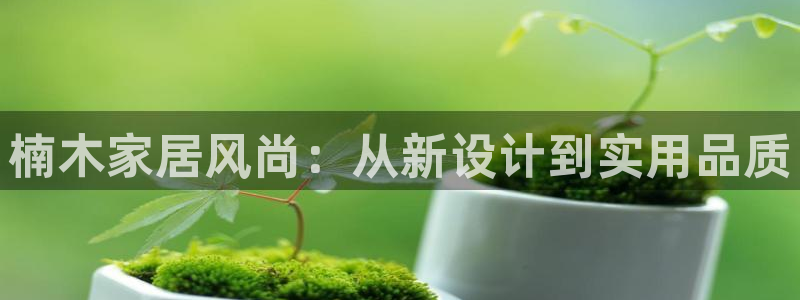 欧星娱乐平台是黑的吗