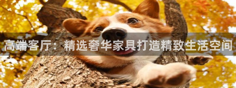 星欧娱乐官方：高端客厅：精选奢华家具打造精致生活空间