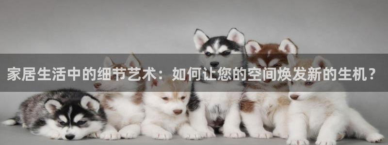 热星娱乐欧豪是谁