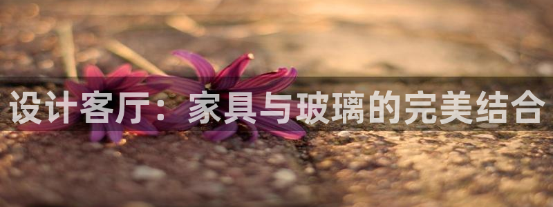 星欧娱乐官方网页版入口