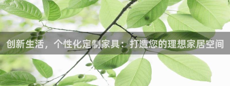 星欧娱乐官网免费下载：创新生活，个性化定制家具：打造您的理想