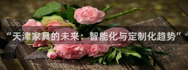 小西门欧乐星城娱乐项目：“天津家具的未来：智能化与定制化趋势