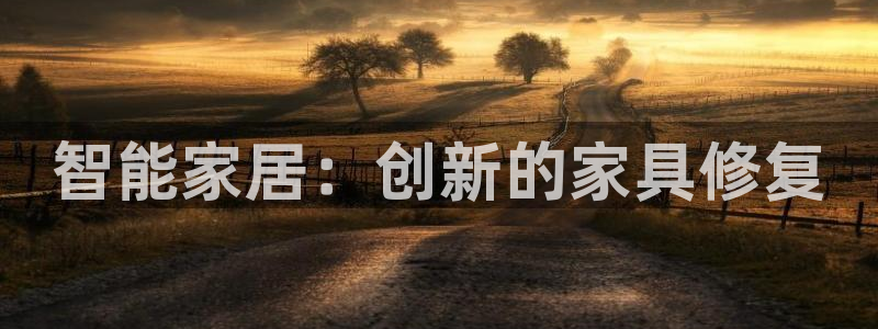 欧乐星城好玩的娱乐场所：智能家居：创新的家具修复