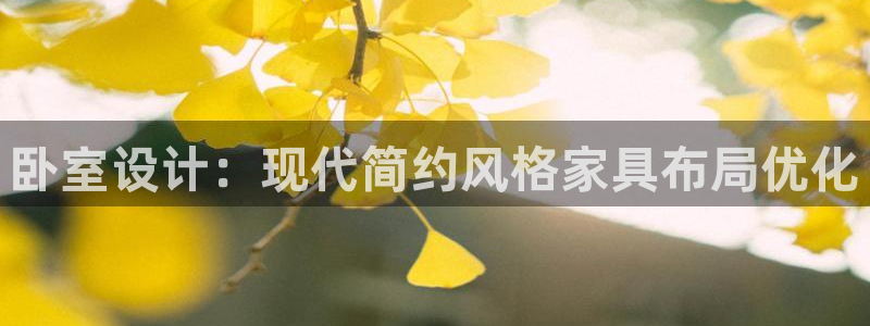 欧星娱乐app：卧室设计：现代简约风格家具布局优化