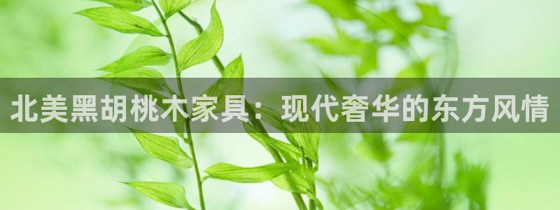 星欧娱乐最新活动