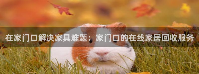 星欧娱乐倒闭了吗