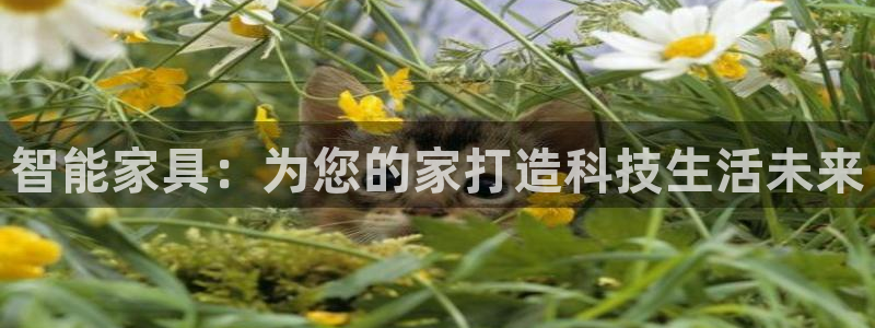 星欧娱乐文化无锡