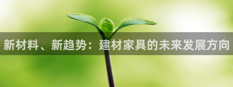 星欧娱乐平台是什么